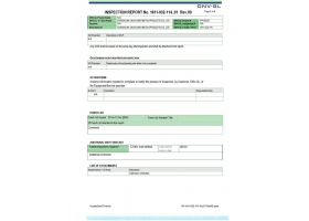report5